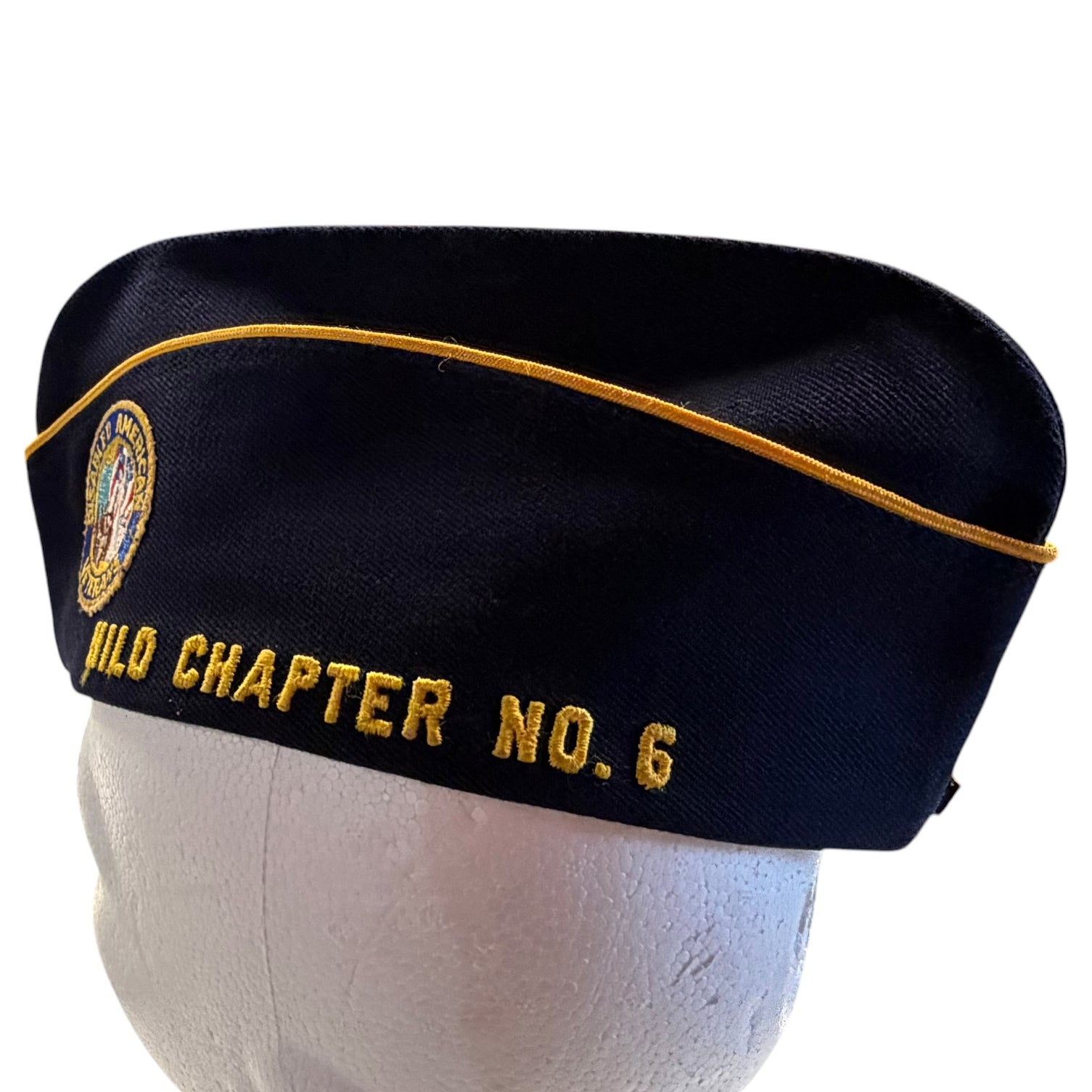 Disabled American Veterans (DAV) Garrison Cap with Medals & Ribbons ...