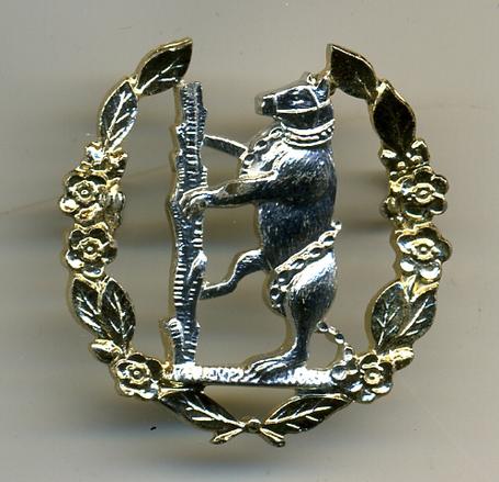 Queens Own Warwickshire Yeomanry Cap Badge