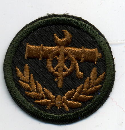 Grp 2, Weapons Tech Trade Badge - Green