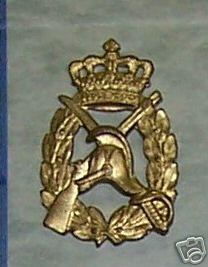 Denmark (Danish) Army, Inspector General Armor Badge