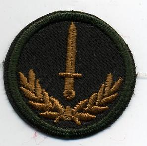 Grp 2, Infantry Trade Badge - green