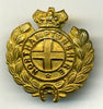 Officers Northamptonshire Regt. Collar Badge, QVC