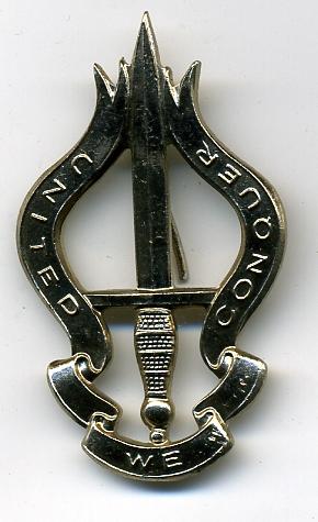 Belgium: 2nd Battalion Commando Cap Badge