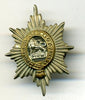 Worcestershire Regiment Collar Badge