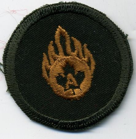 Grp 1 Ammunition Tech Trade Badge - Green