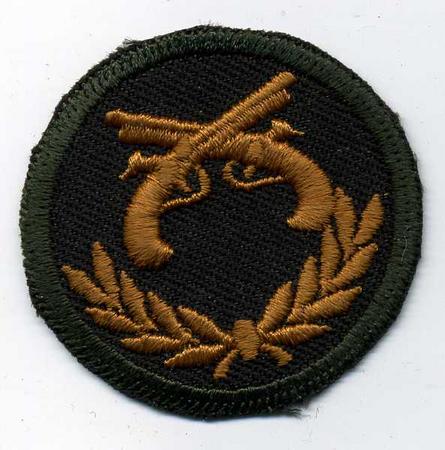 Grp 2 Military Police (MP) Trade Badge - Green