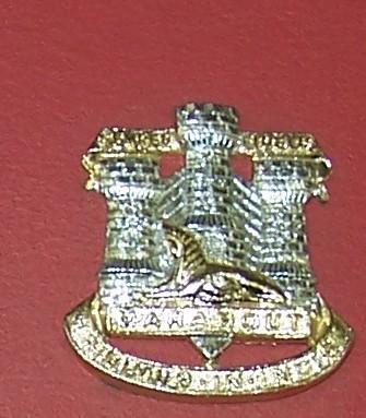 Devonshire & Dorset Regiment Cap Badge Staybrite