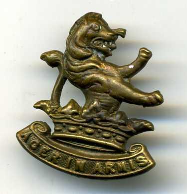 WW1 7th (Wellington West Coast) Coy. Collar Badge