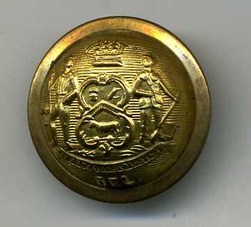 USA Delaware State Brass Button