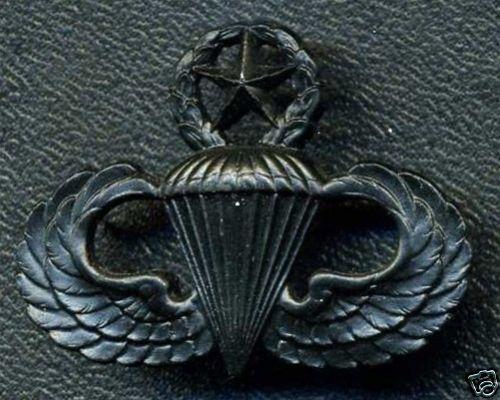 USA Master Parachutist Wing Badge (stamped S21 on back)