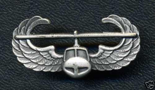USA Army Air Assault Badge (stamped D22 on back)