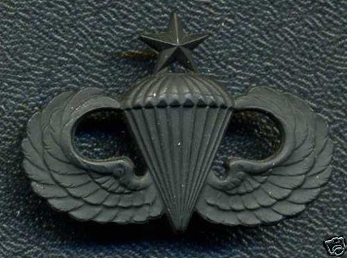 USA Senior Parachutist Wing Badge (stamped L22 on back)