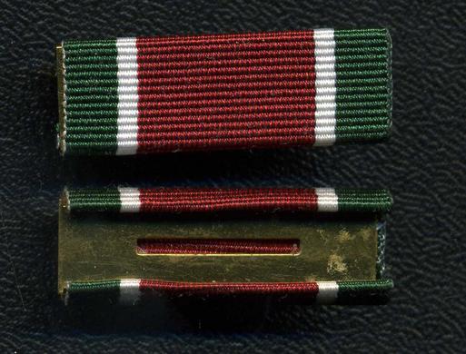 General Service Medal (GSM) Ribbon on Device