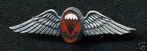 South African Parachute Freefall Instructor Wing Badge