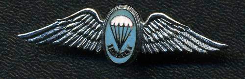 South African Para Static Line Instructor Wing Badge