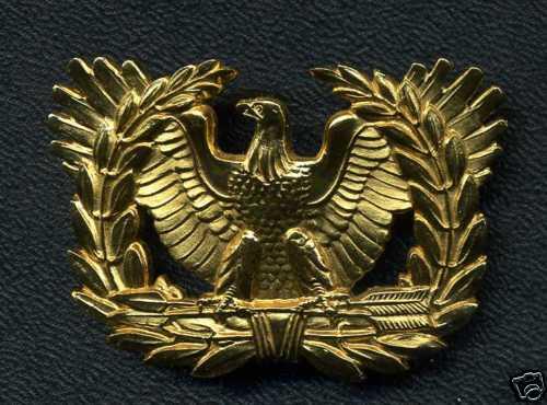 USA ARMY: Warrant Officer Cap Badge