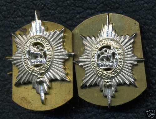 British: Worcestershire Regiment Collar Badge Pair