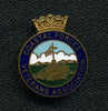 WW2 era COASTAL FORCES VETERANS ASSOCIATION Pin