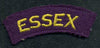 British: Essex Regiment Shoulder Flash