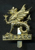 Wessex Brigade Anodised Aluminium Cap Badge