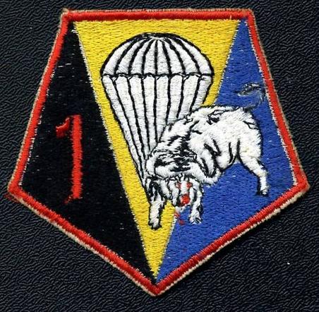 Parachute (Para) Cloth Badge / Patch from Guatamala