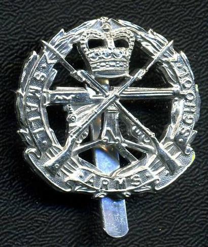 Small Arms School Anodised Aluminium Cap Badge