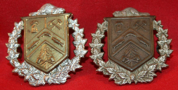 WW2 TRR, Three Rivers Regiment Collar Badge Pair