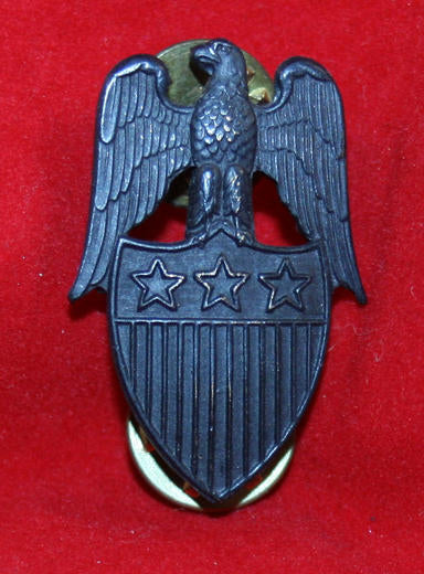 US Officers Collar Badge:Aide to Lieutenant General - Subdued