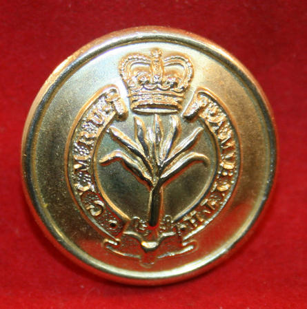 British Army: Welsh Guards Uniform Button