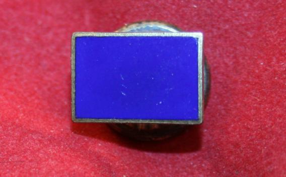 WW2, 2nd Canadian DIVISION Veterans Lapel Pin