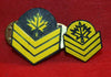 Set of 2, Canadian Forces Rank Insignia - Unusual