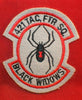 USA, 421th TAC. FTR SQ, BLACK WIDOWS, jacket crest.