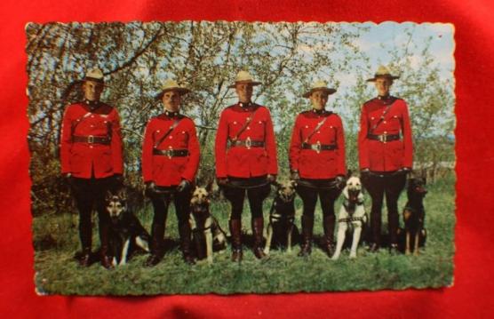 RCMP Royal Canadian Mounted Police, Red Serge DOG MASTERS & Dogs Postcard K9