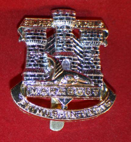 British, The Devonshire and Dorset Regiment Cap Badge - Plastic A/A