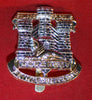 British, The Devonshire and Dorset Regiment Cap Badge - Plastic A/A