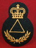 Canadian Army DEU Trade Badge: Dental Clinic Assistant - Group 4