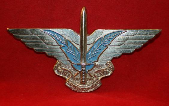 CISKEL Special Forces Badge