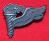 US Military Pathfinders Badge