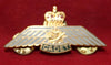 Cadet Pilots Wing Badge