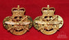Canadian TriServices - Unified Element Prototype Collar Badge Pair