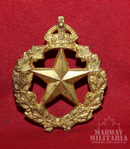 Le Regiment De Montmagy Cap Badge