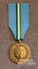 United Nations UNTEA Medal